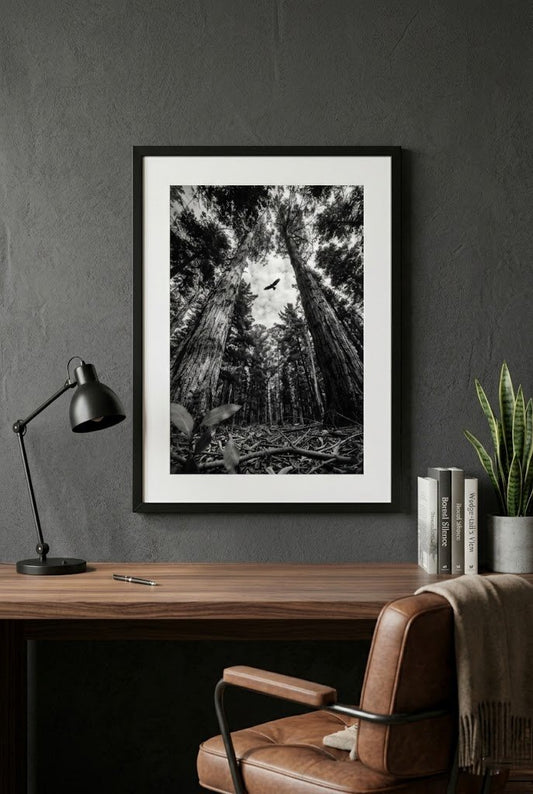 Above It All | Fine Art Print | Eagle & Forest Canopy