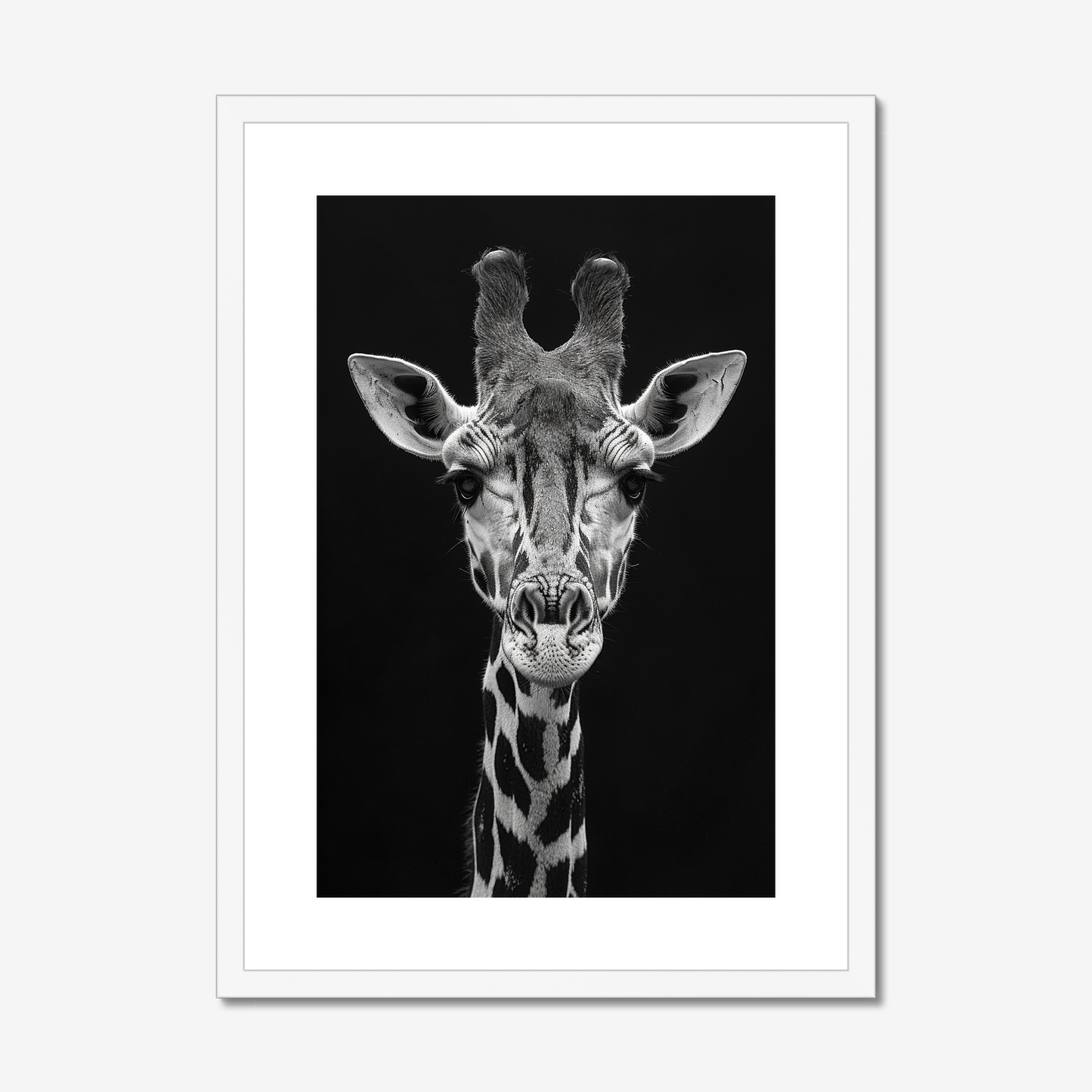 Elevated | Fine Art Print | Giraffe Portrait
