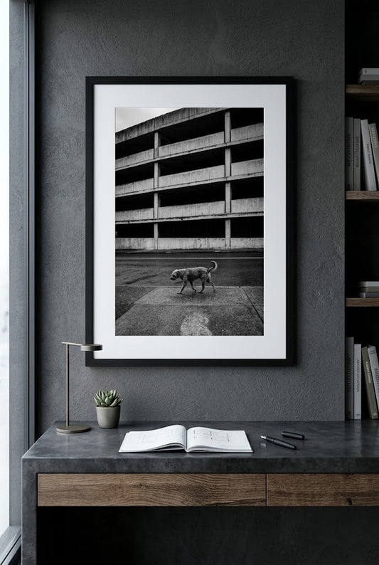 On Another Level | Fine Art Print | Stray Dog & Brutalist City