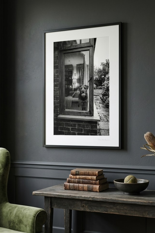 Rainy Days and Mondays | Fine Art Print | Dog at the Window