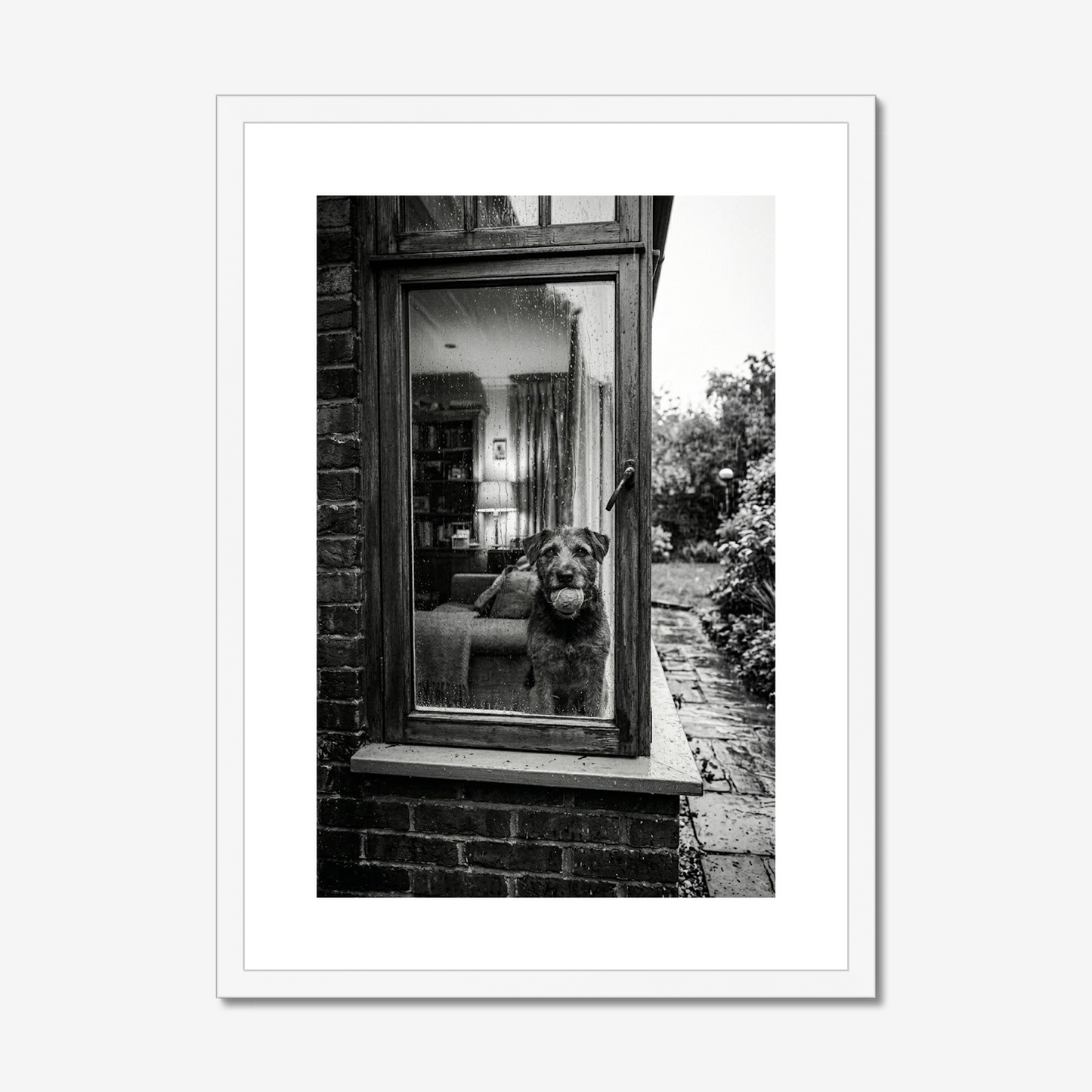 Rainy Days and Mondays | Fine Art Print | Dog at the Window