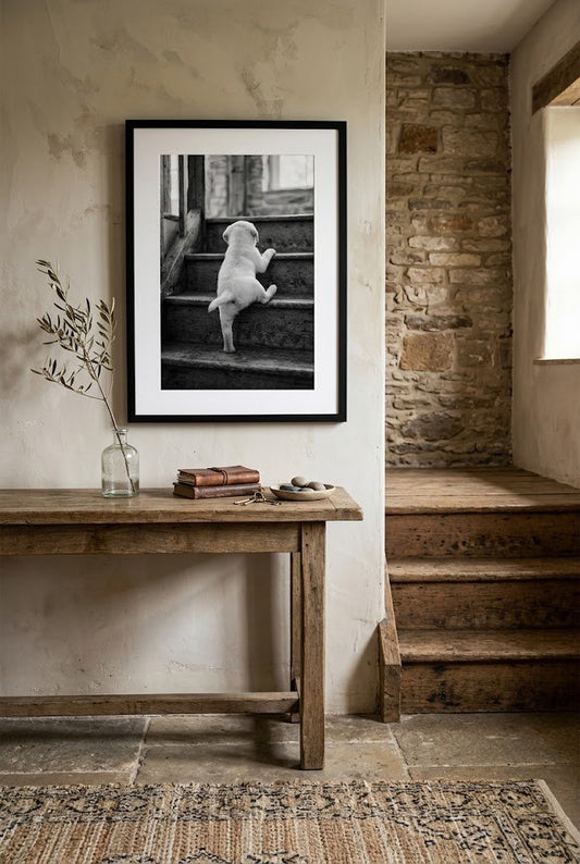 Rising to the Challenge | White Labrador Fine Art Print