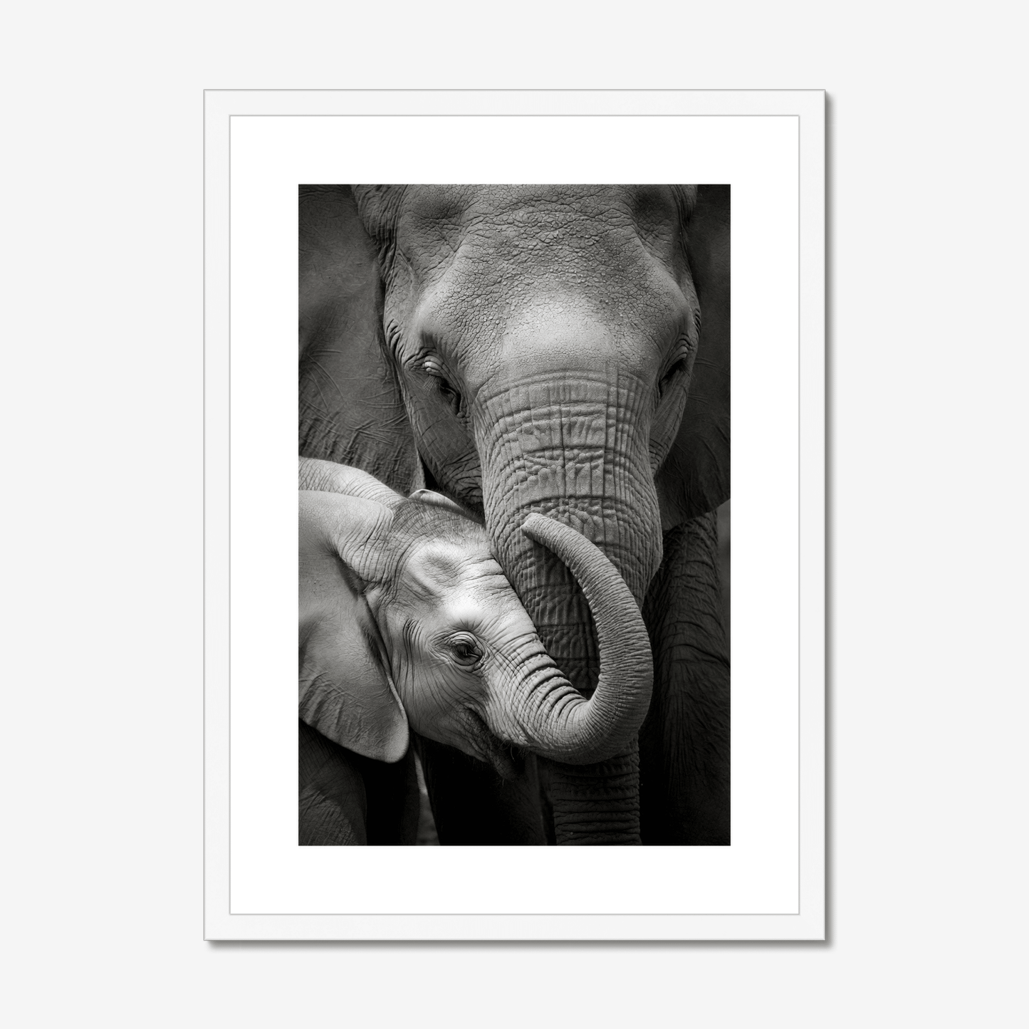 Inheritance - Framed Elephant Fine Art Print - The 5th Room Studio