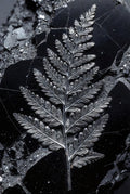 The Obsidian Relic: Silver Fern I