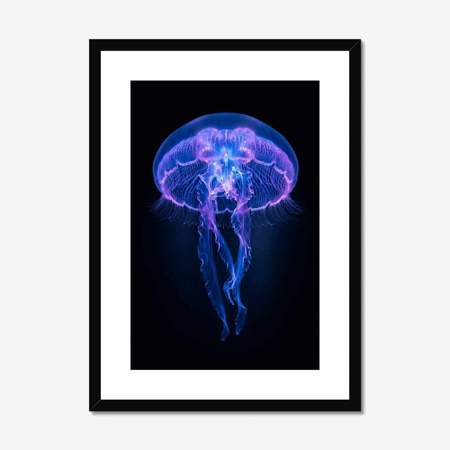 Bioluminescence | Fine Art Print | Jellyfish Portrait