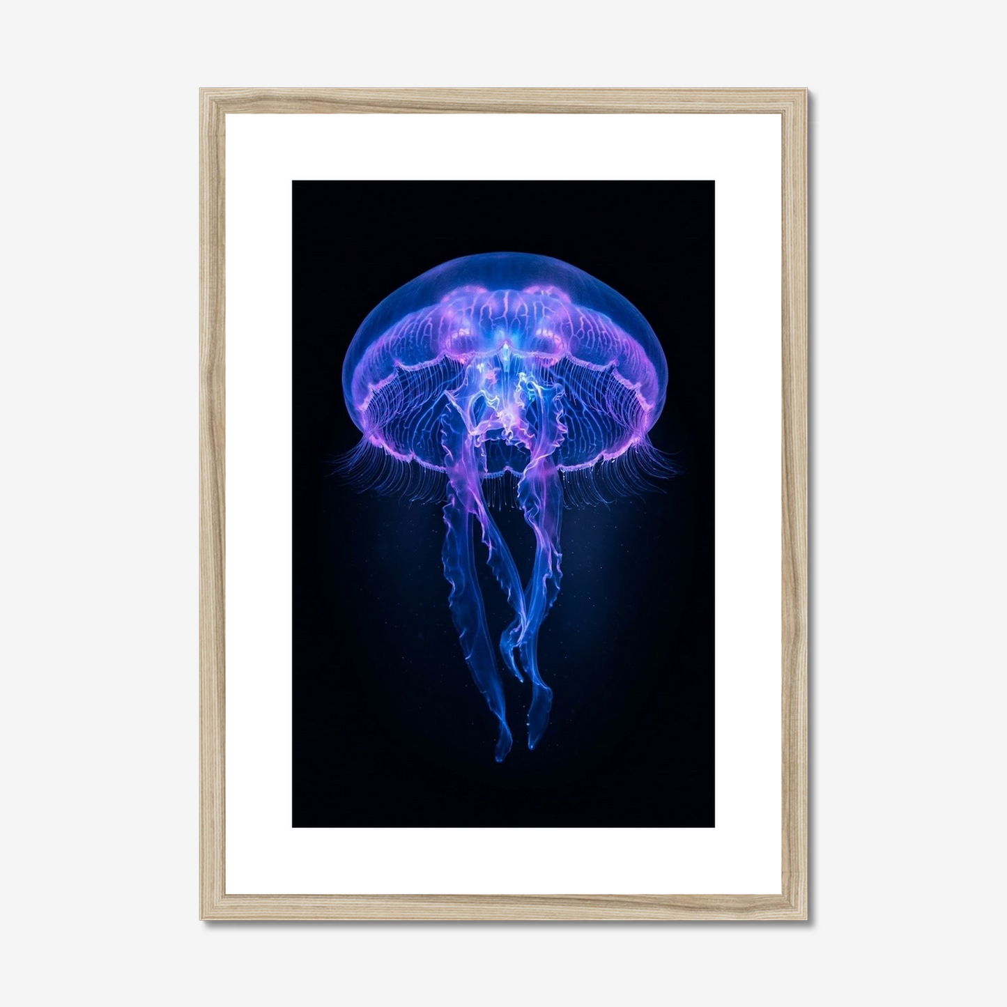 Bioluminescence | Fine Art Print | Jellyfish Portrait