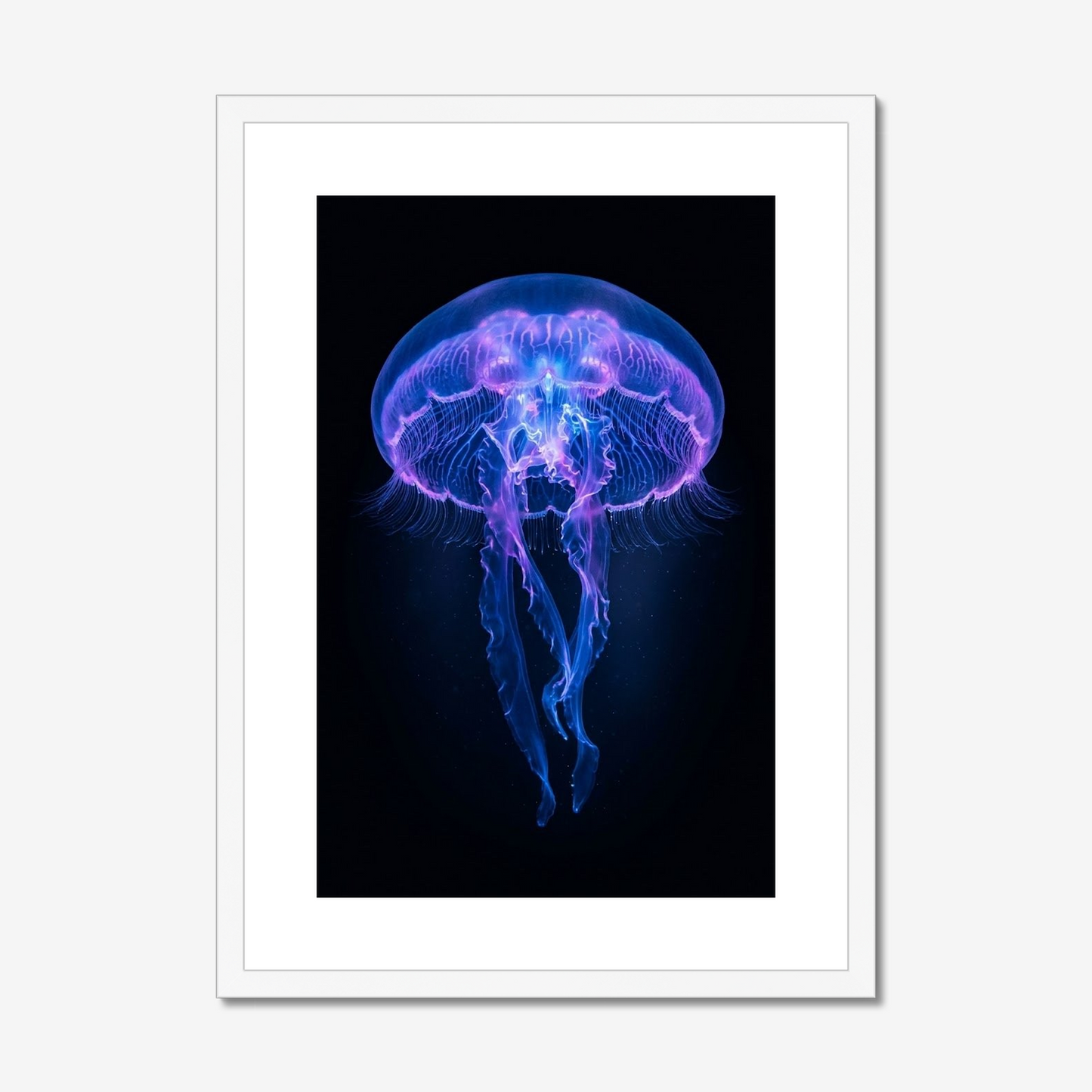 Bioluminescence | Fine Art Print | Jellyfish Portrait