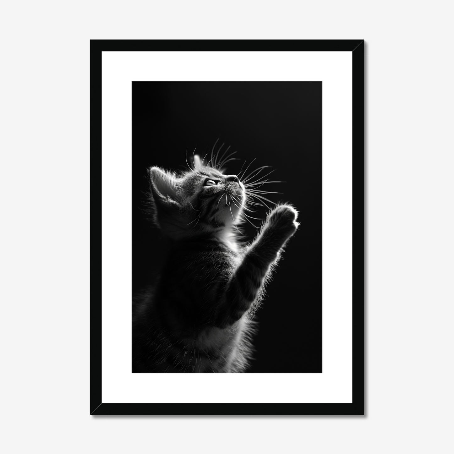 Chiaroscuro Feline | Kitten Fine Art Print