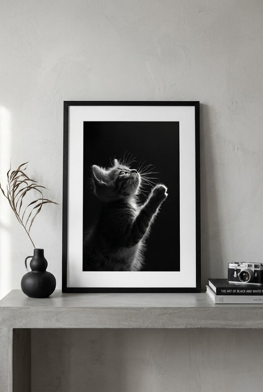 Chiaroscuro Feline | Kitten Fine Art Print