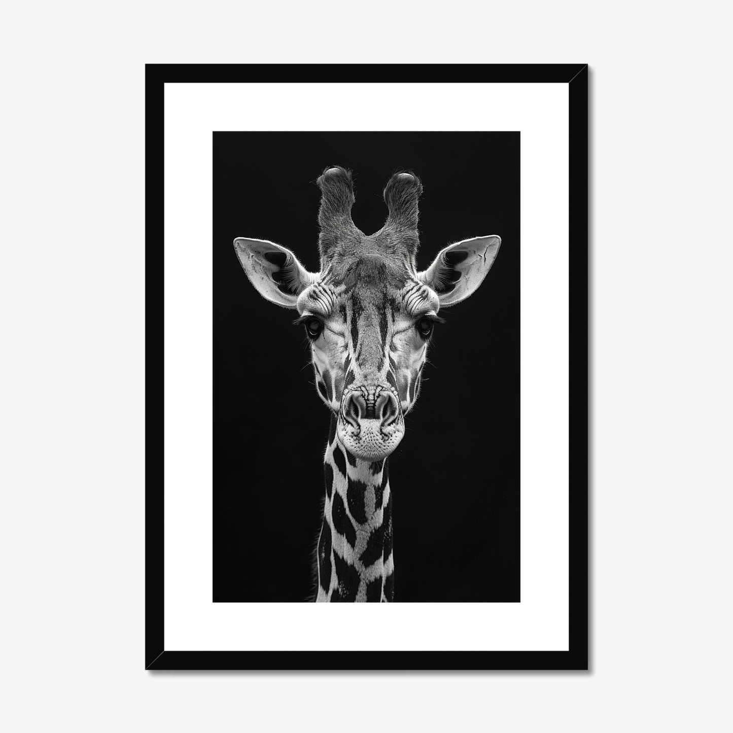 Elevated | Fine Art Print | Giraffe Portrait