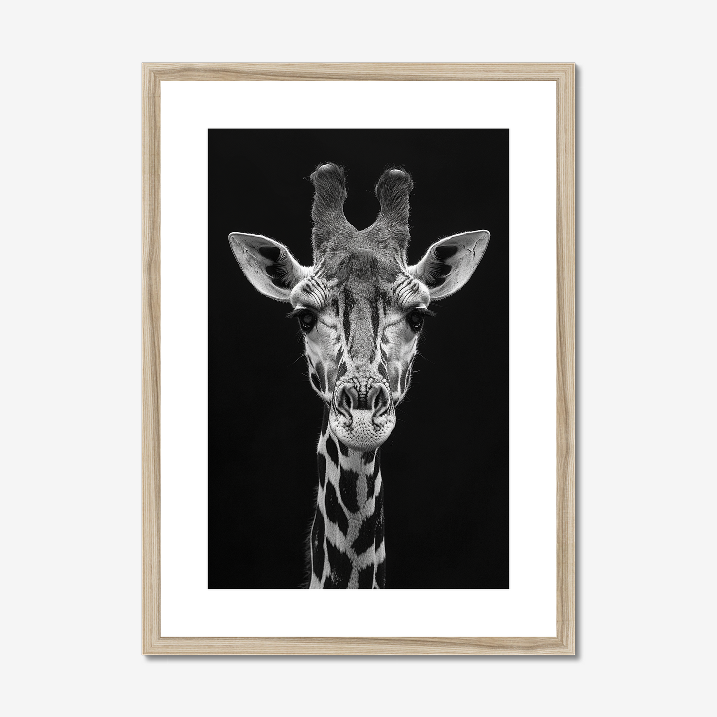 Elevated | Fine Art Print | Giraffe Portrait