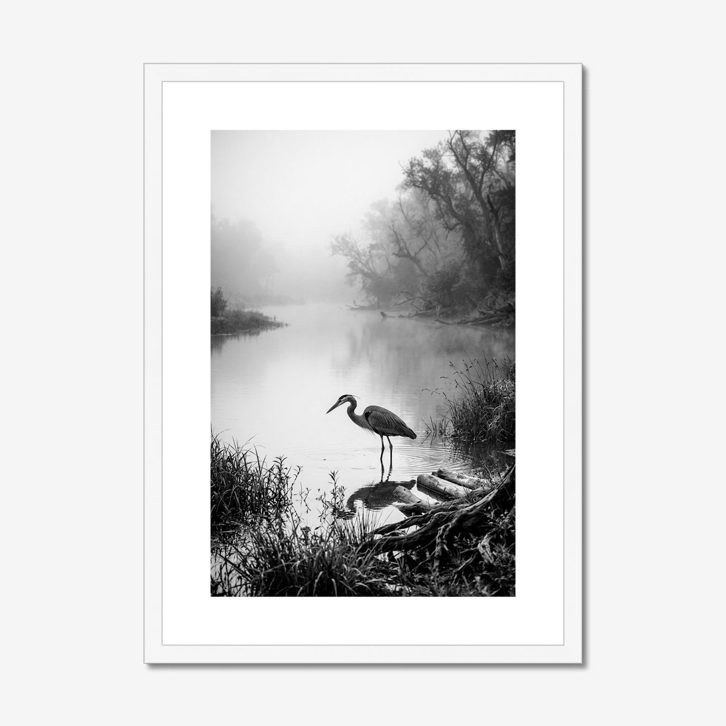 Quietude | Fine Art Print | Crane on Misty River