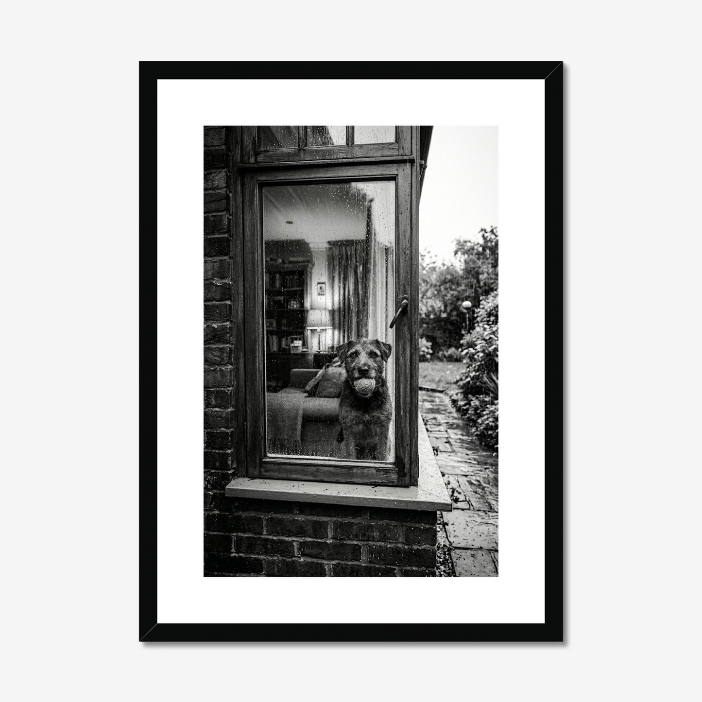 Rainy Days and Mondays | Fine Art Print | Dog at the Window