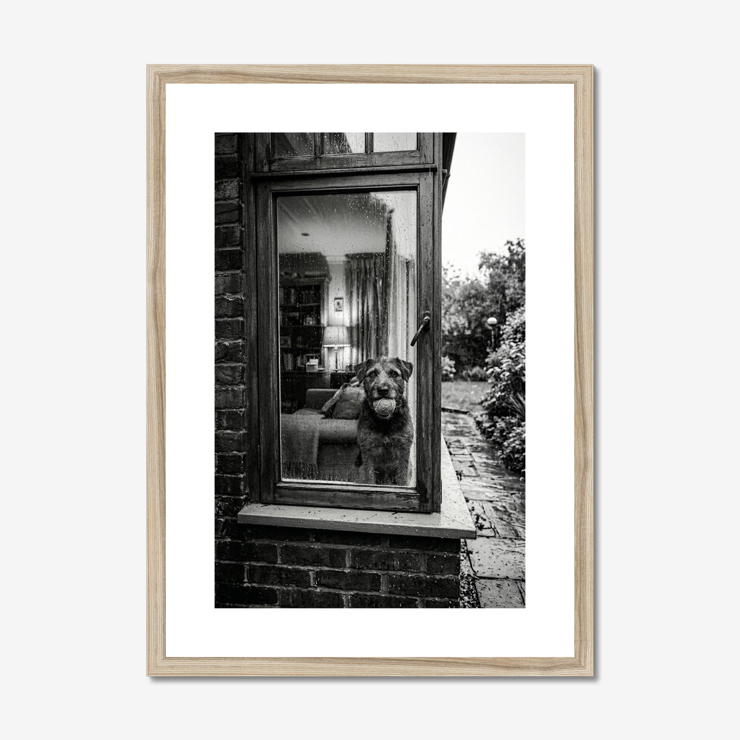 Rainy Days and Mondays | Fine Art Print | Dog at the Window