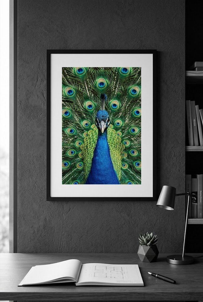 Reclamation | Fine Art Print | Peacock Portrait