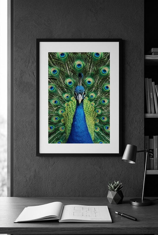 Reclamation | Fine Art Print | Peacock Portrait