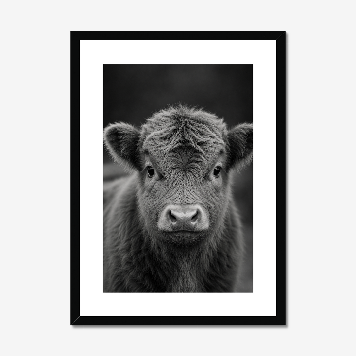 Tender | Fine Art Print | Miniature Calf Portrait