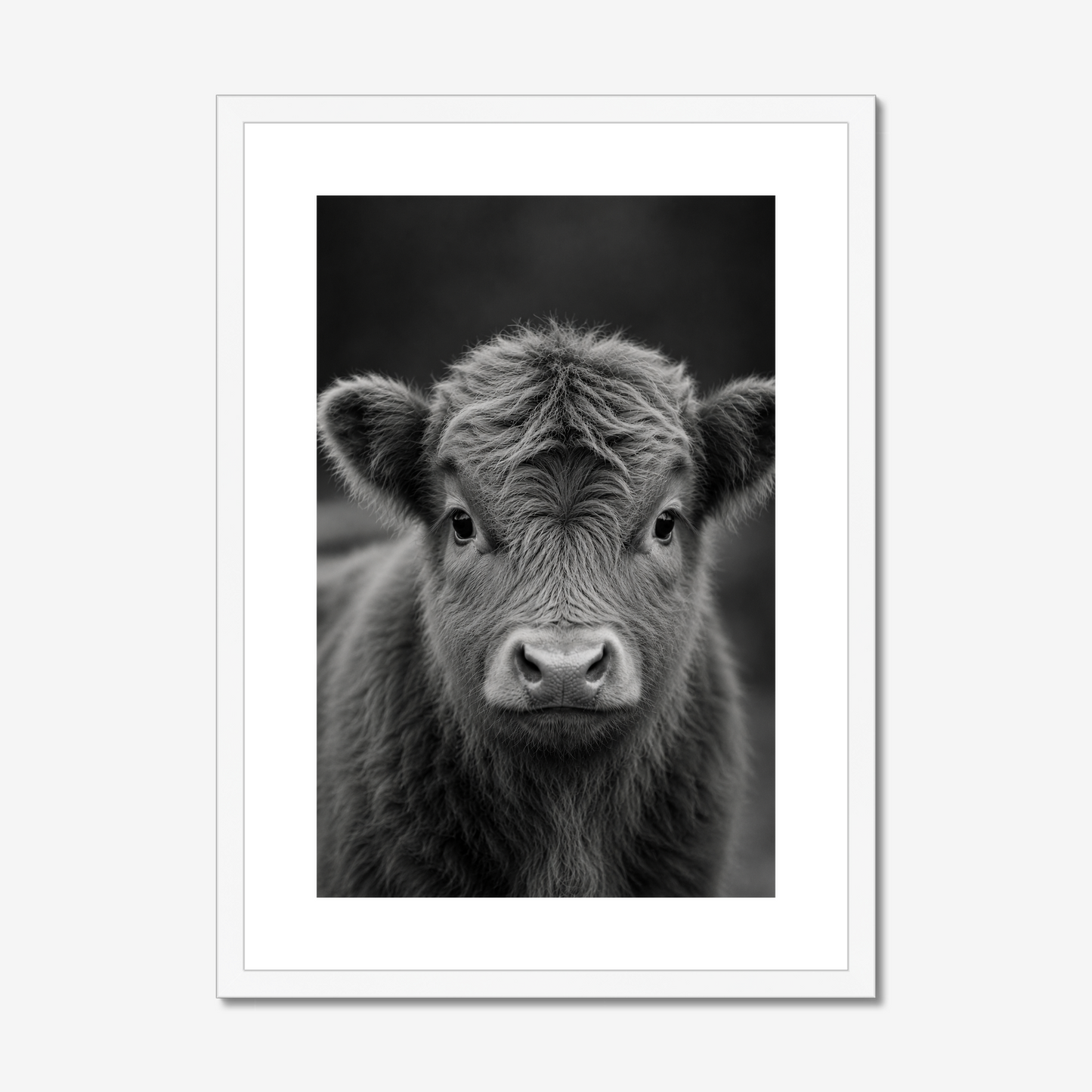 Tender | Fine Art Print | Miniature Calf Portrait