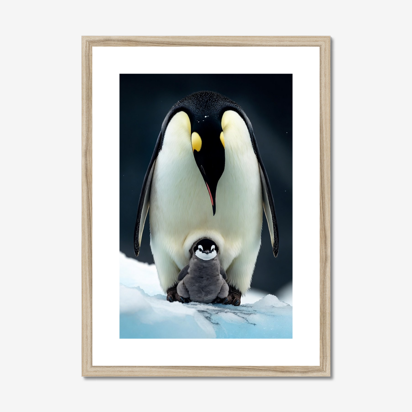 The Heir | Fine Art Print | Emperor Penguin & Chick