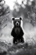 Black and white bear cub standing in a forest