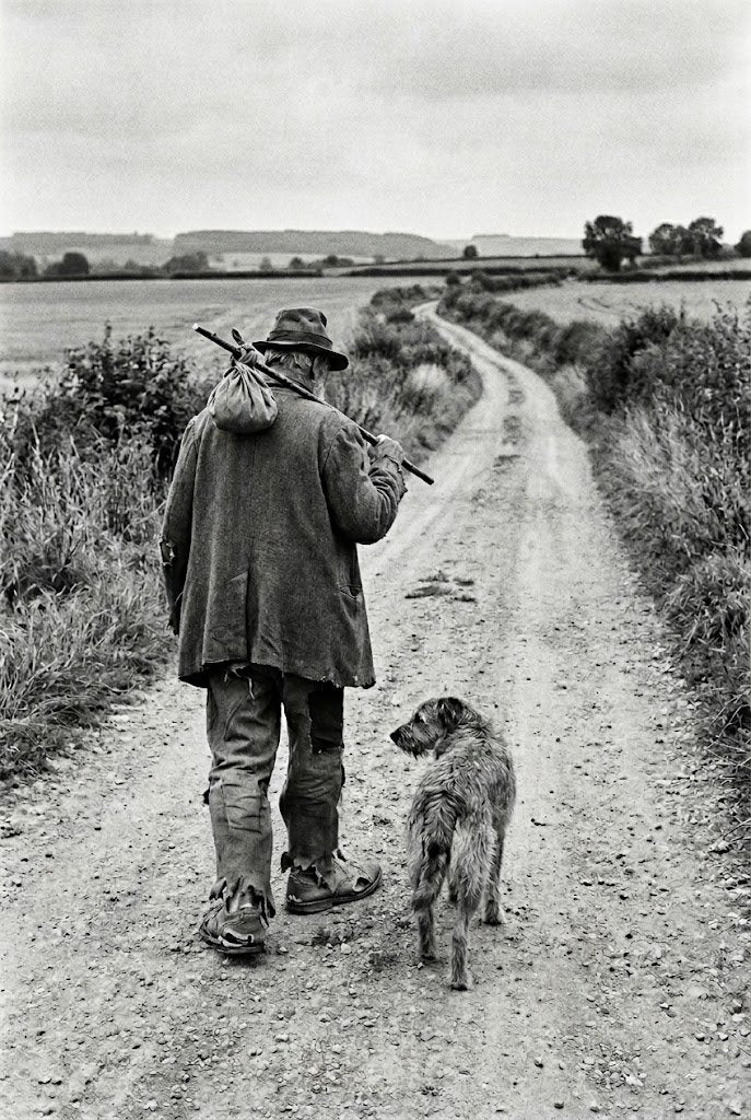 Unconditional | Hobo & Dog Fine Art Print