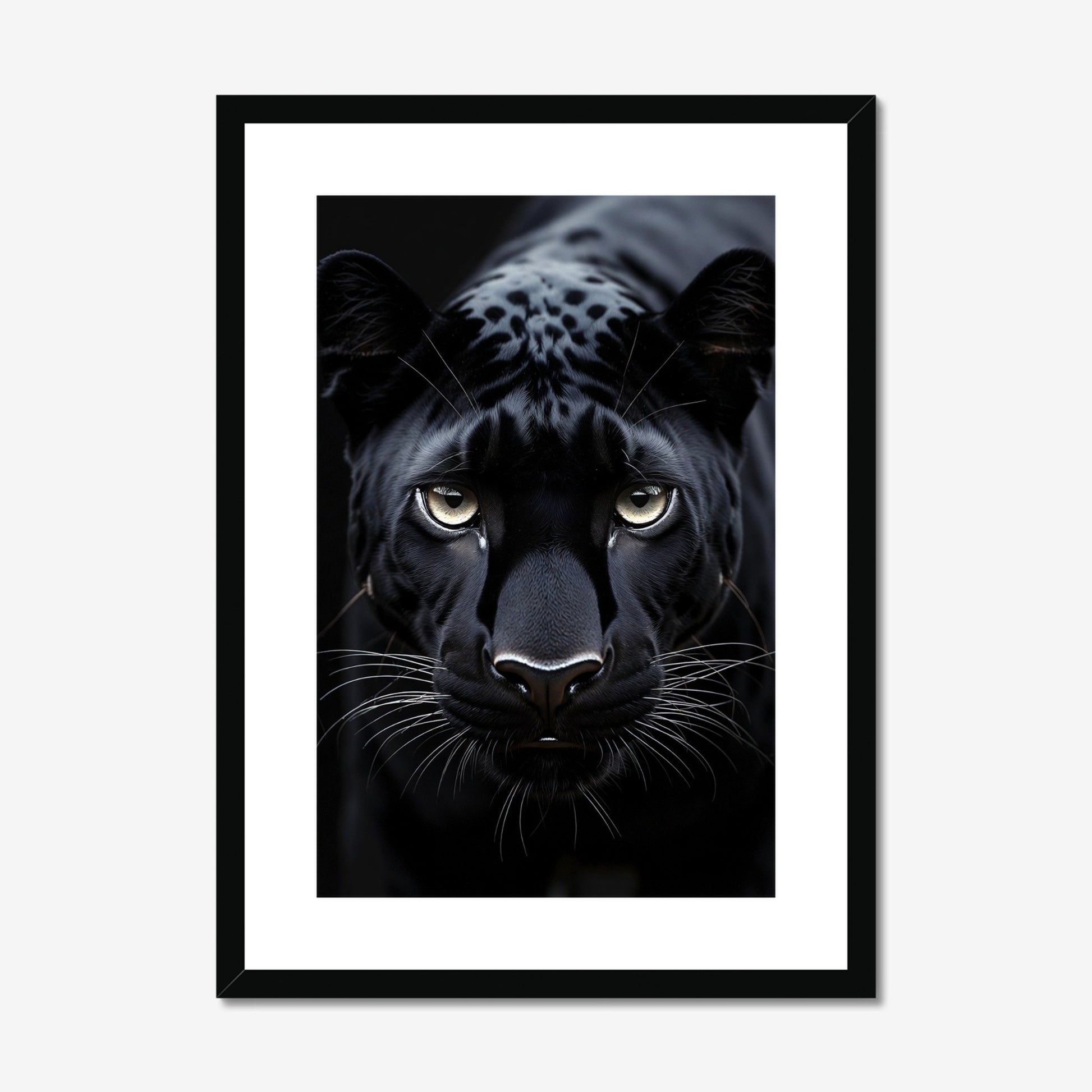 Primal Gaze - The 5th Room Studio