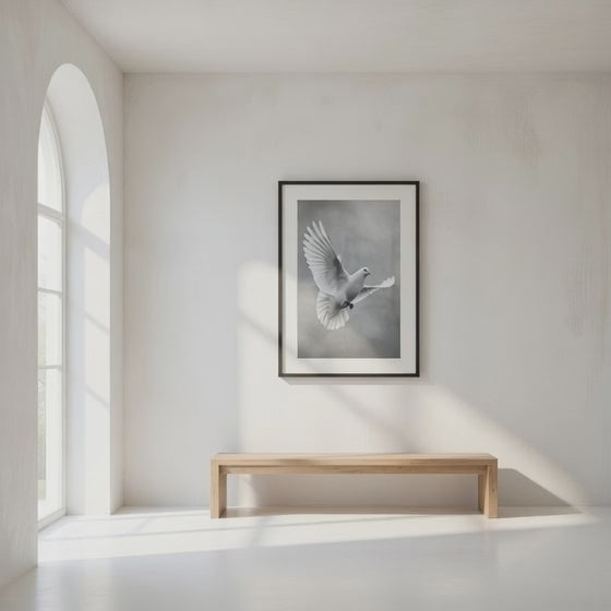 The Messenger of Light