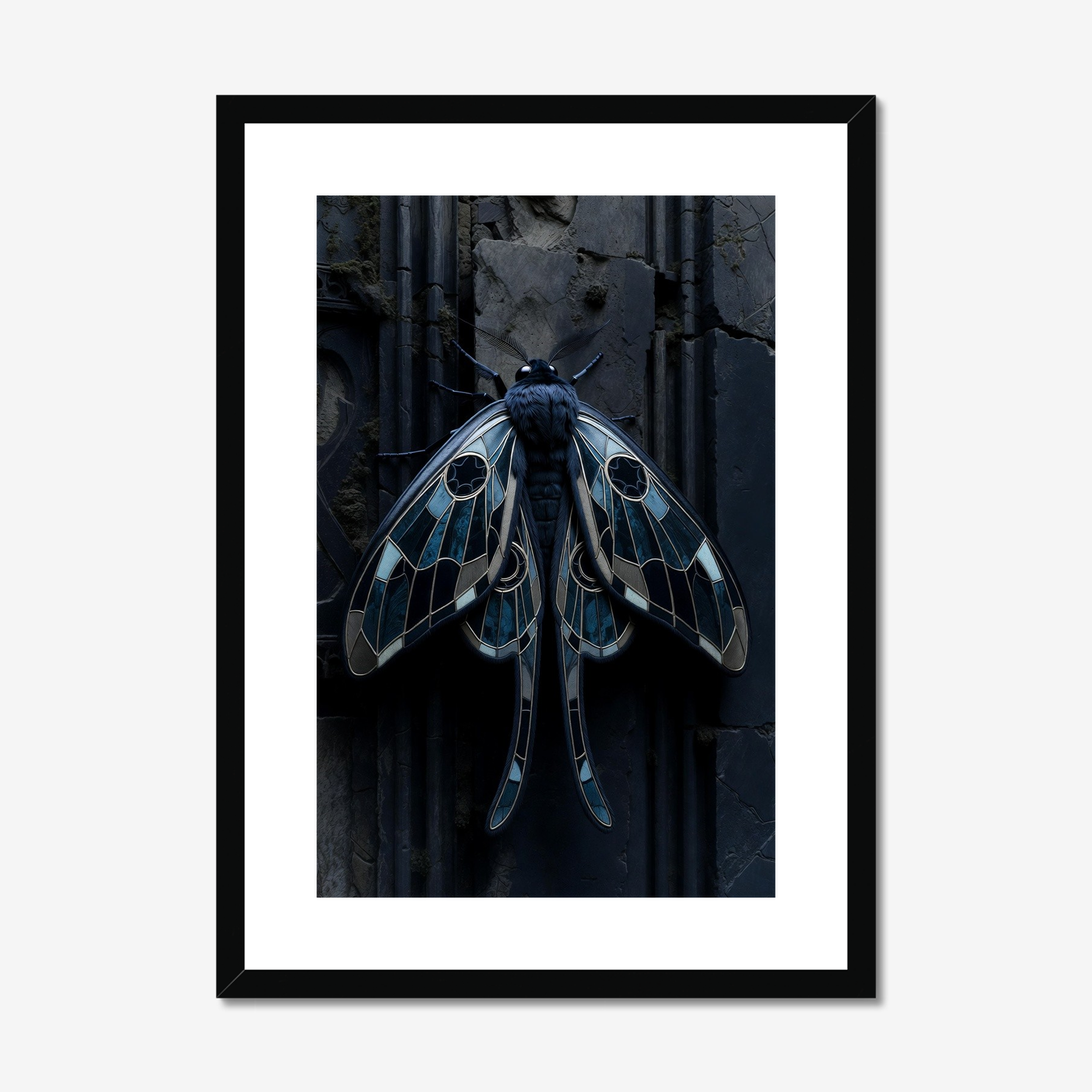 The Cathedral Moth