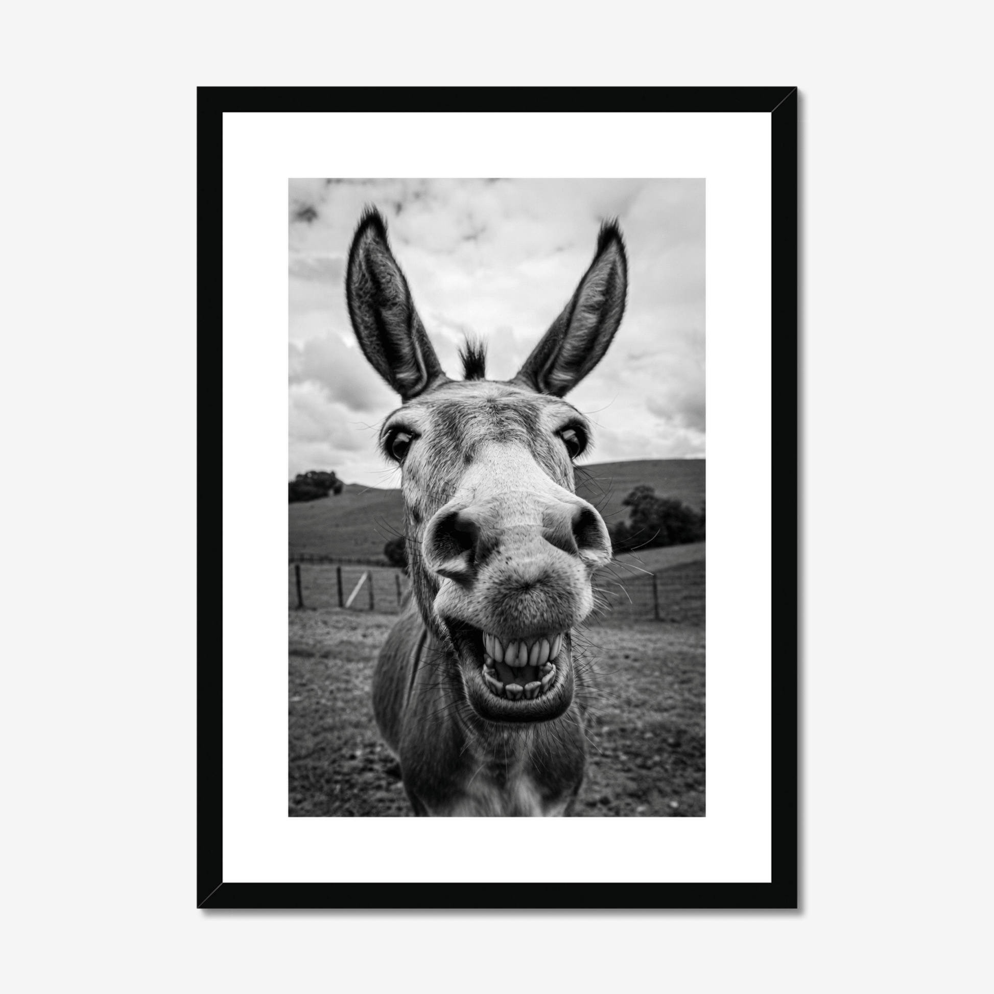The Laugh - The 5th Room Studio
