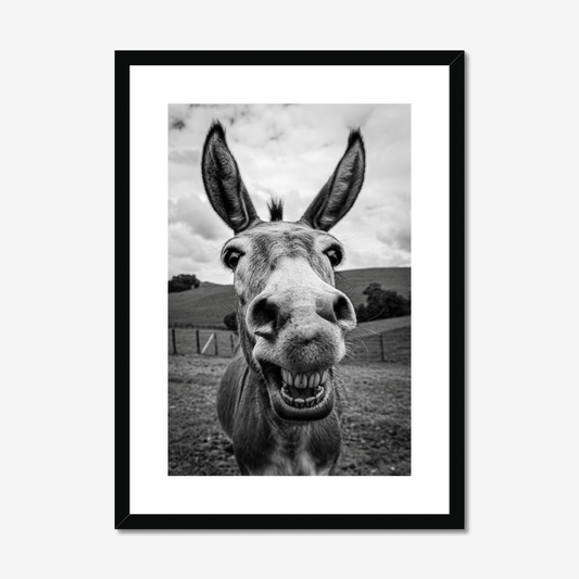The Laugh - The 5th Room Studio