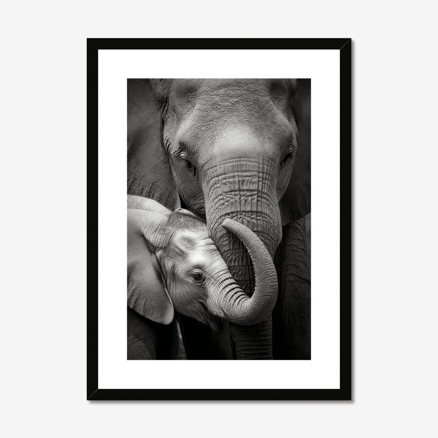 Inheritance - Framed Elephant Fine Art Print - The 5th Room Studio