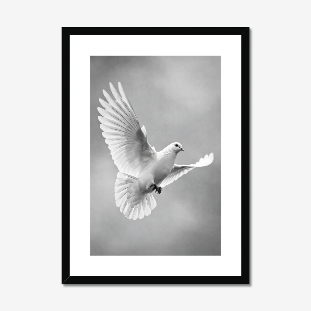 The Messenger of Light