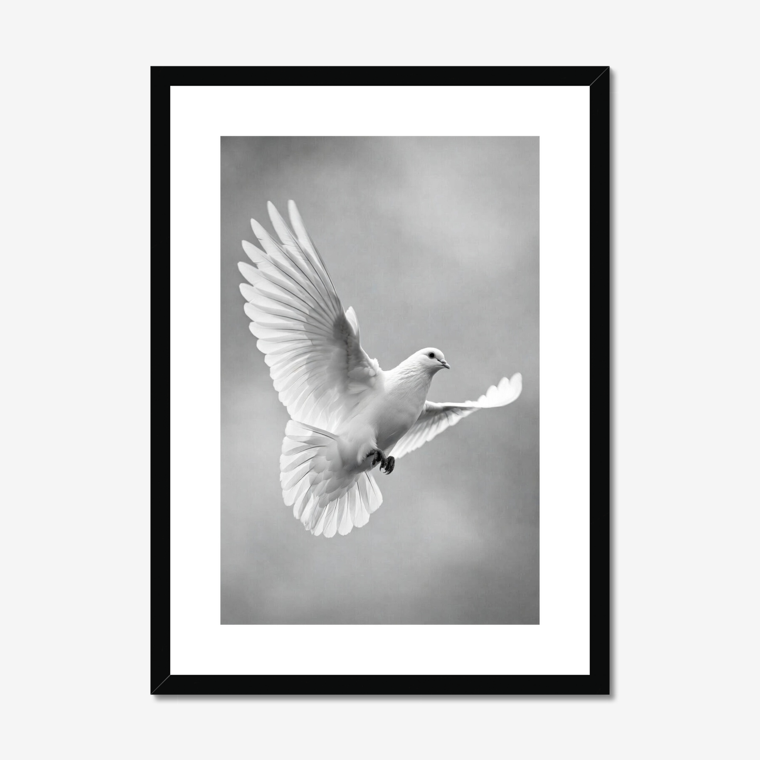 The Messenger of Light