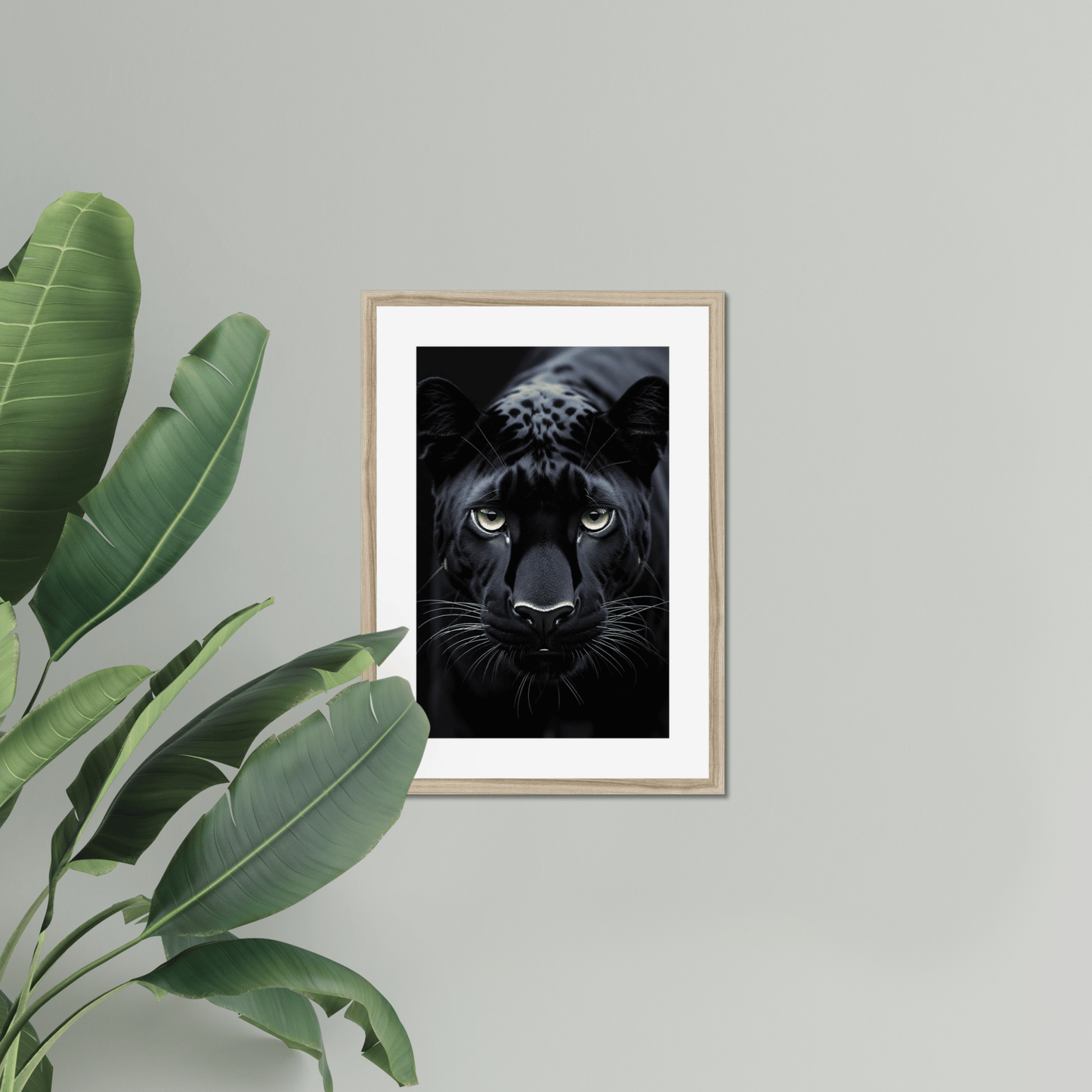 Primal Gaze - The 5th Room Studio