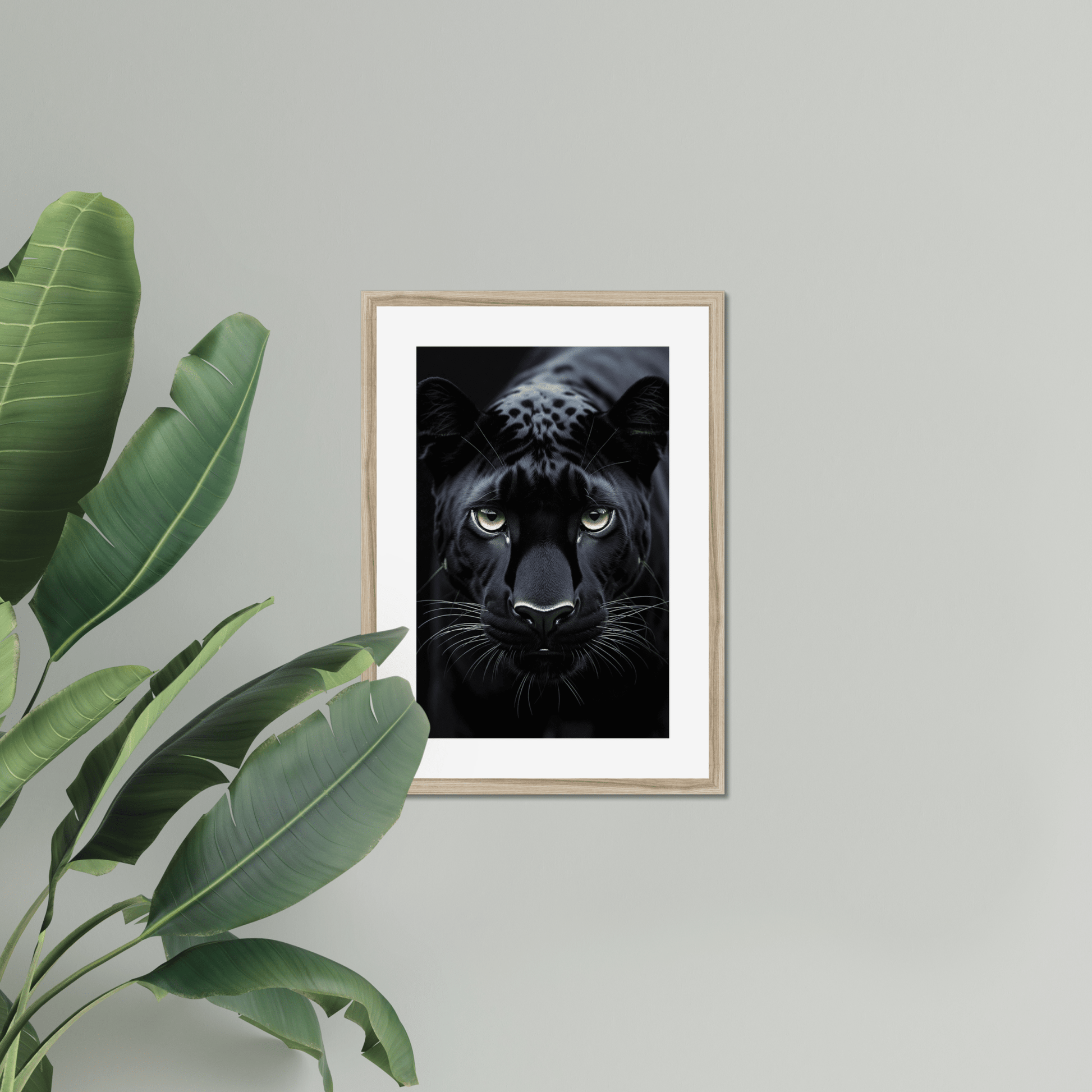 Primal Gaze - The 5th Room Studio