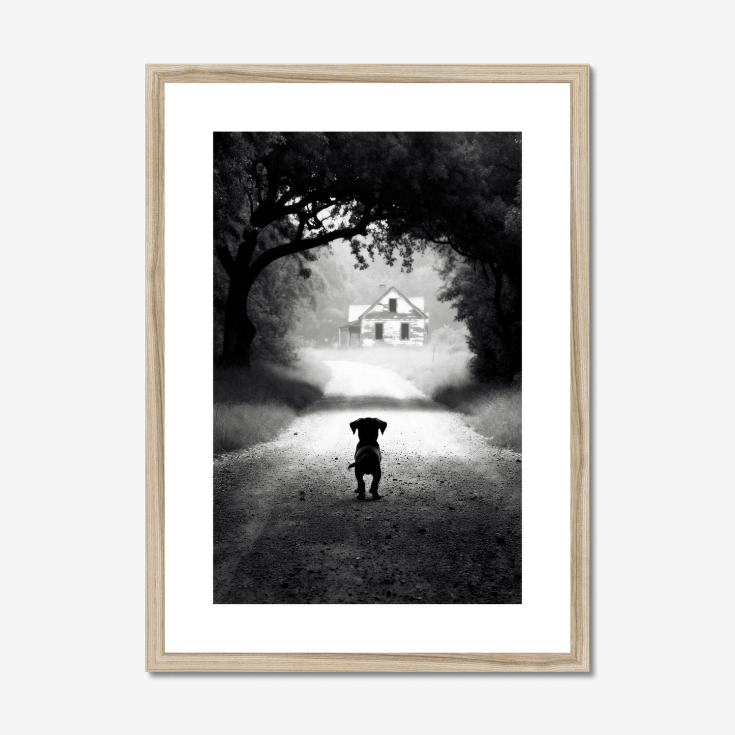 The Long Walk Home - The 5th Room Studio