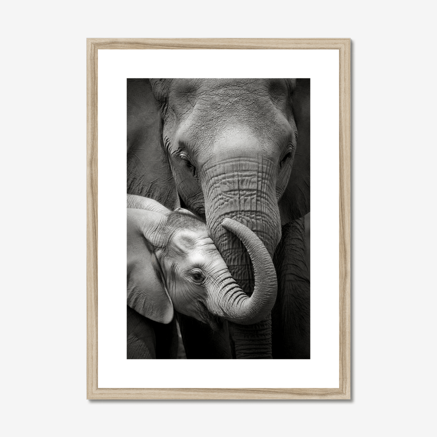 Inheritance - Framed Elephant Fine Art Print - The 5th Room Studio