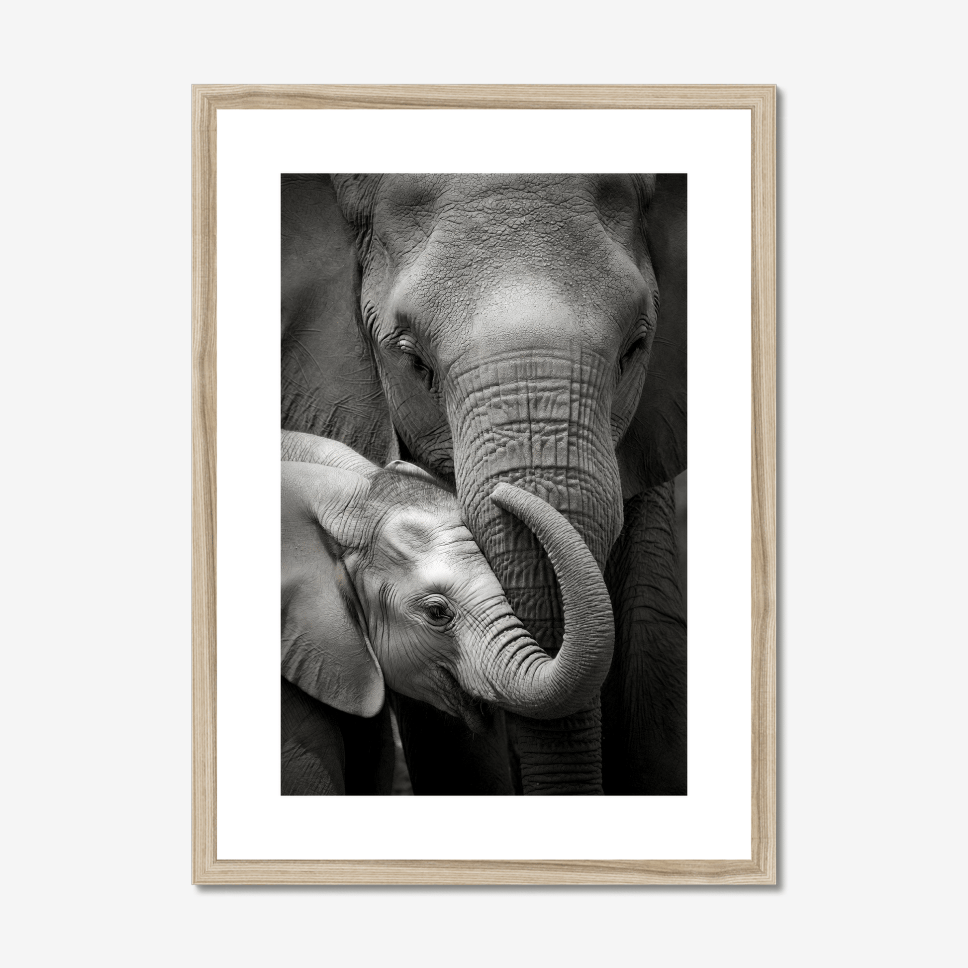 Inheritance - Framed Elephant Fine Art Print - The 5th Room Studio