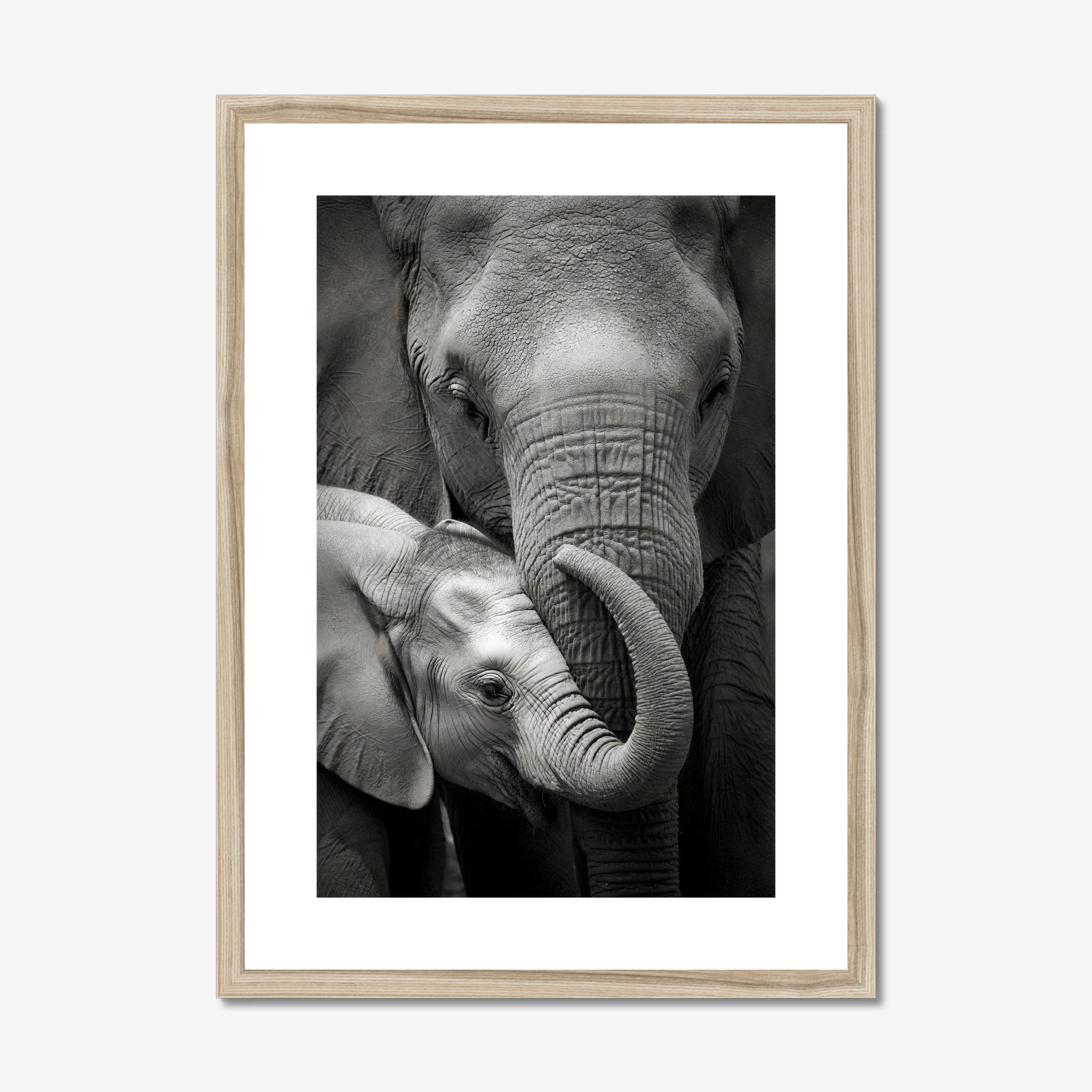 Inheritance - Framed Elephant Fine Art Print