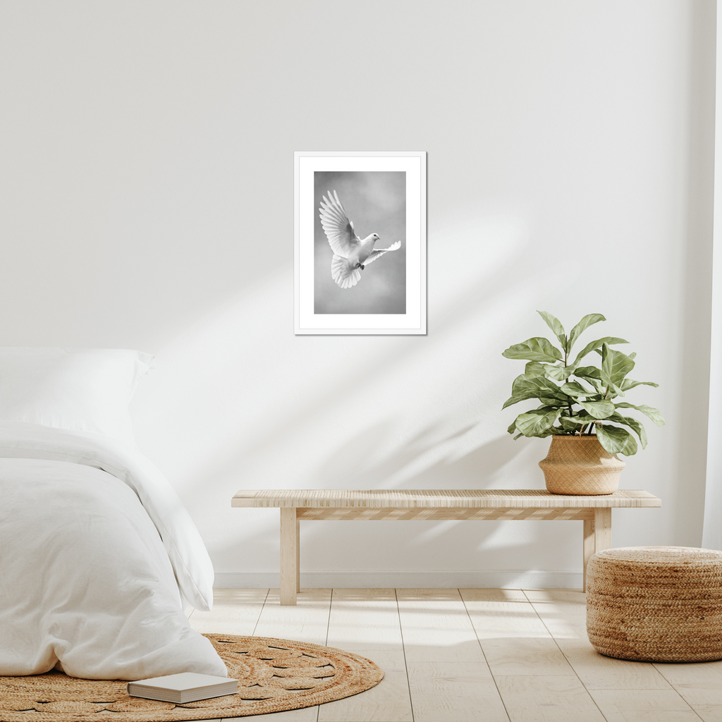 The Messenger of Light