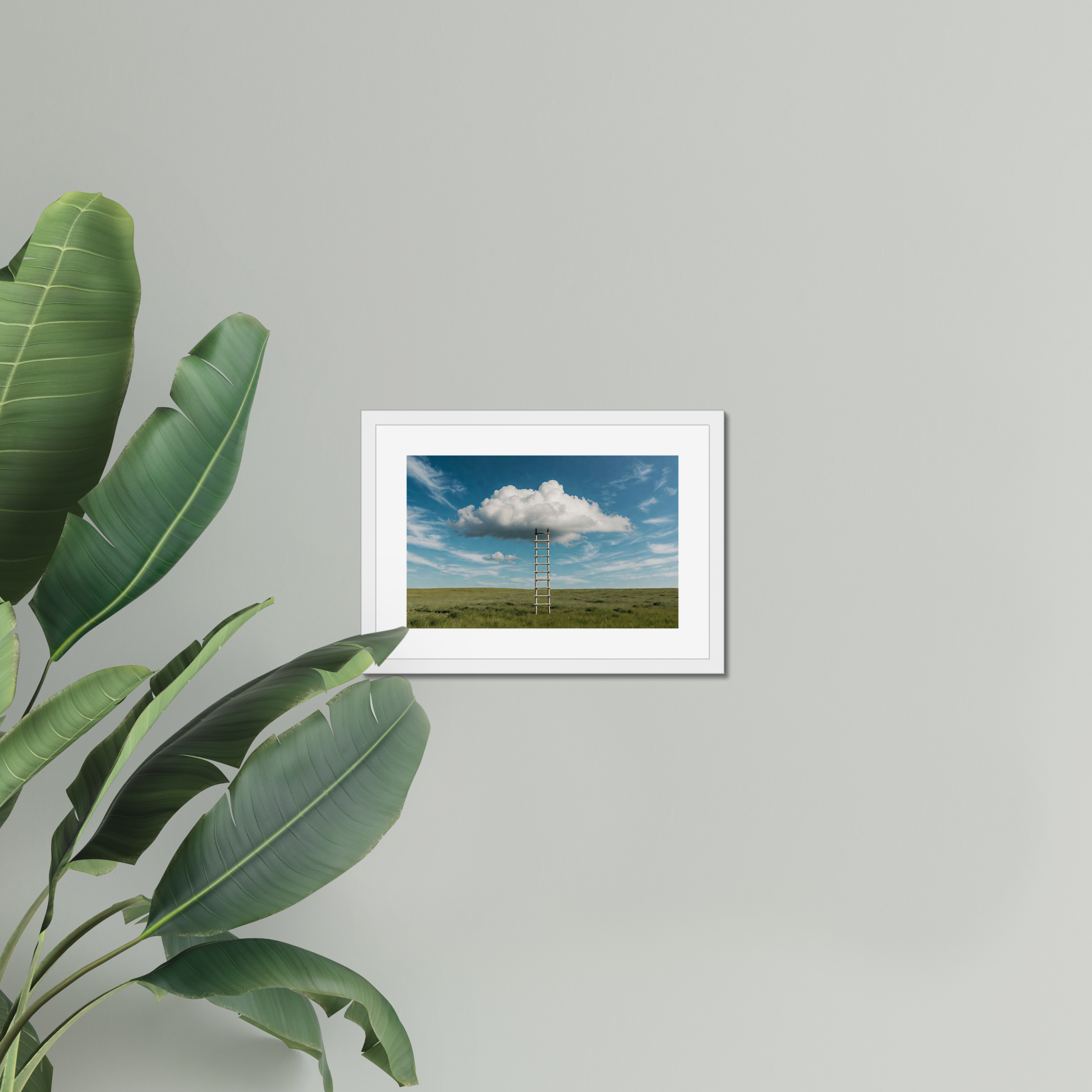 The Ascent of Ambition