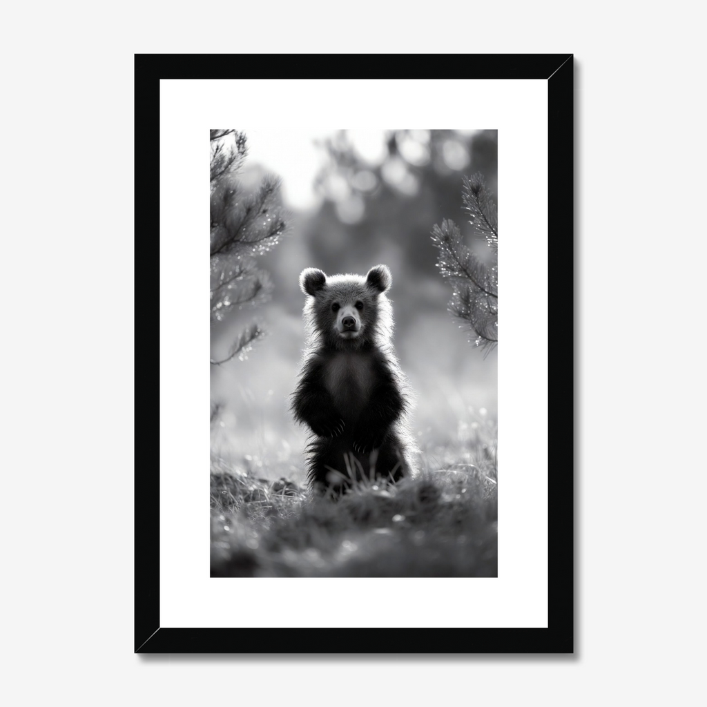Framed black and white photograph of a bear in a forest setting