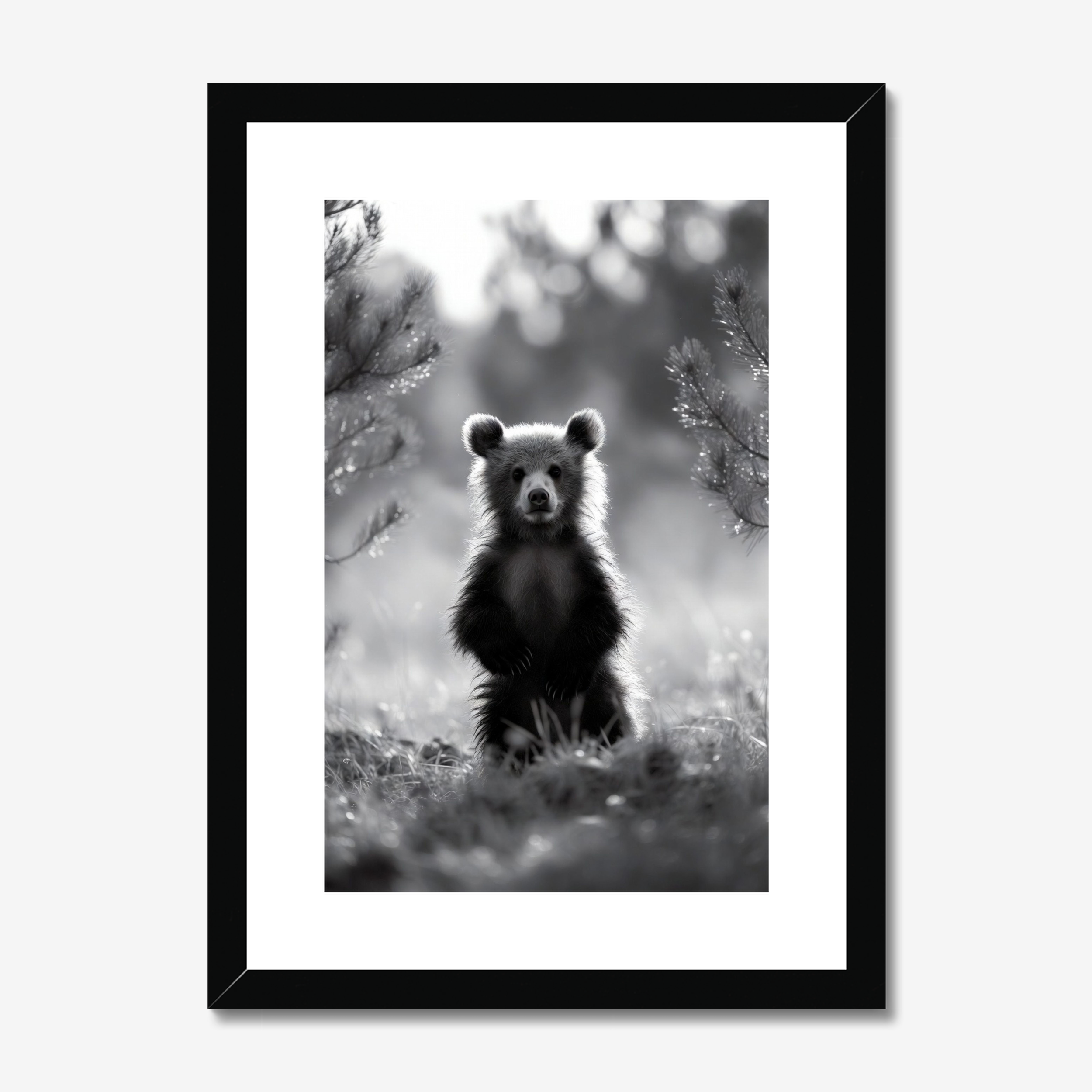 Framed black and white photograph of a bear in a forest setting
