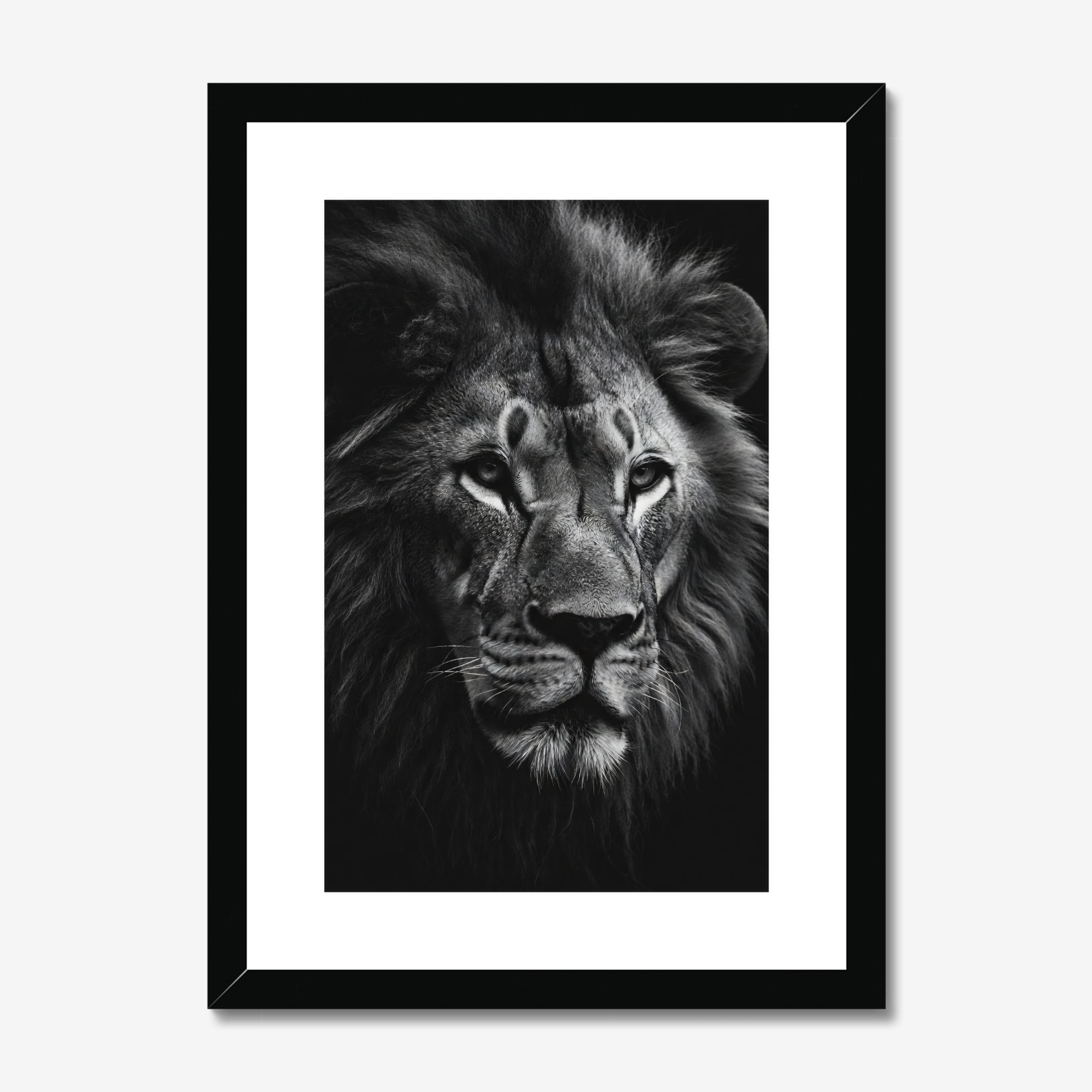 Framed black and white portrait of a lion on a light gray background