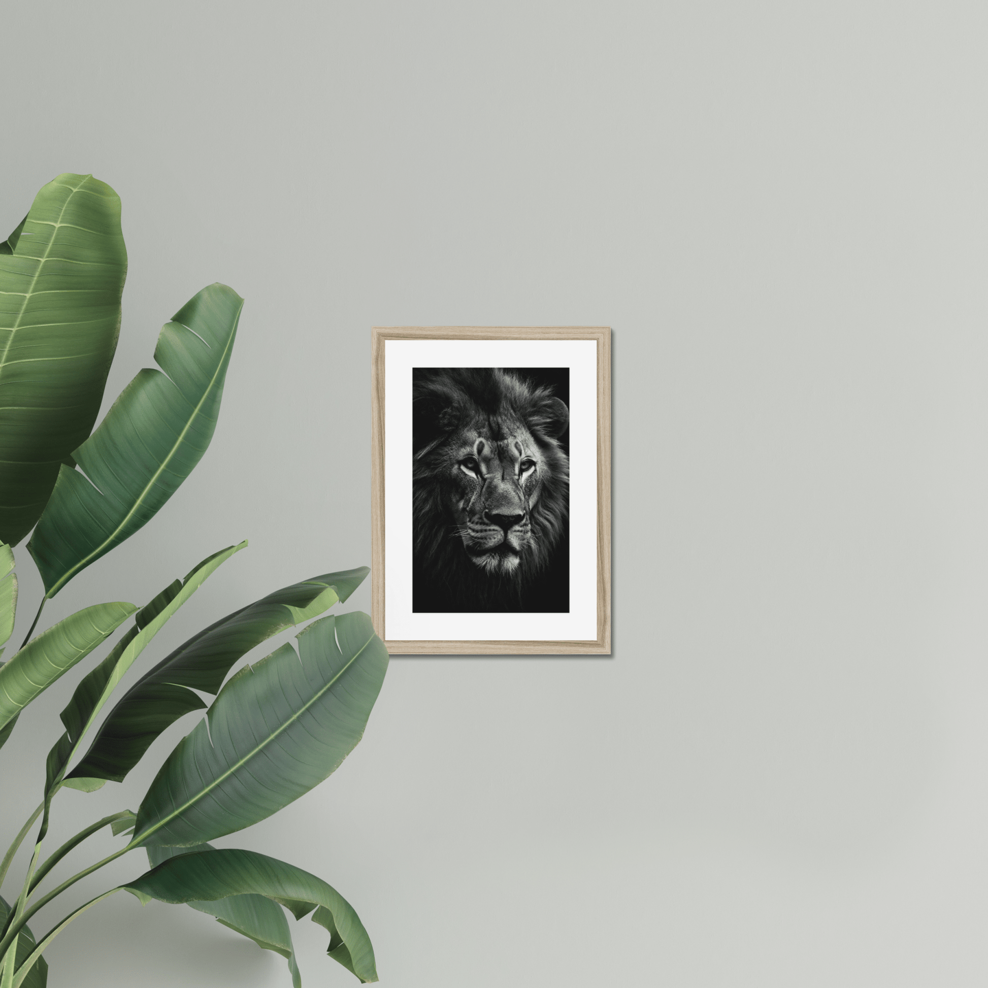 The Sovereign’s Silence II - The 5th Room Studio