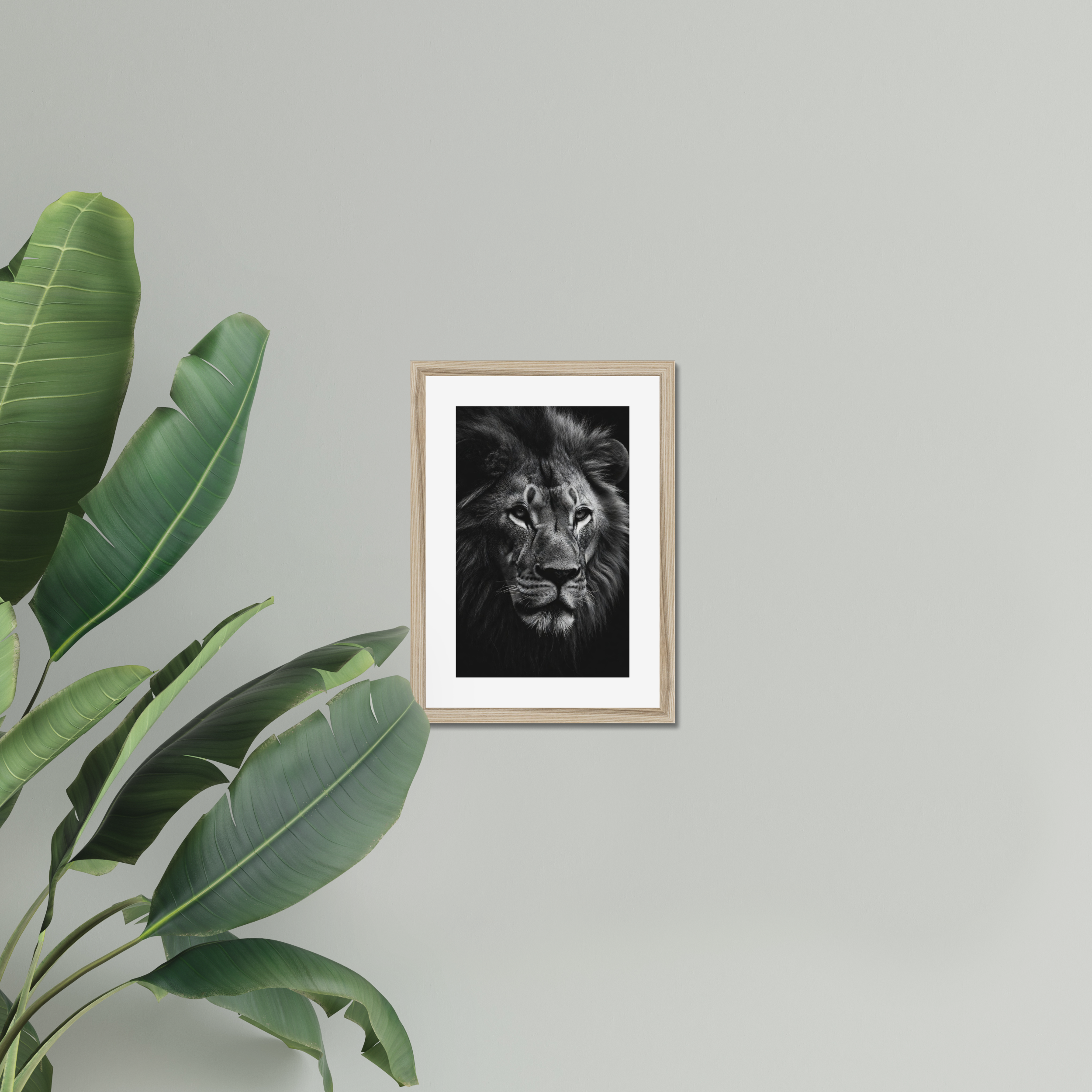 The Sovereign’s Silence II